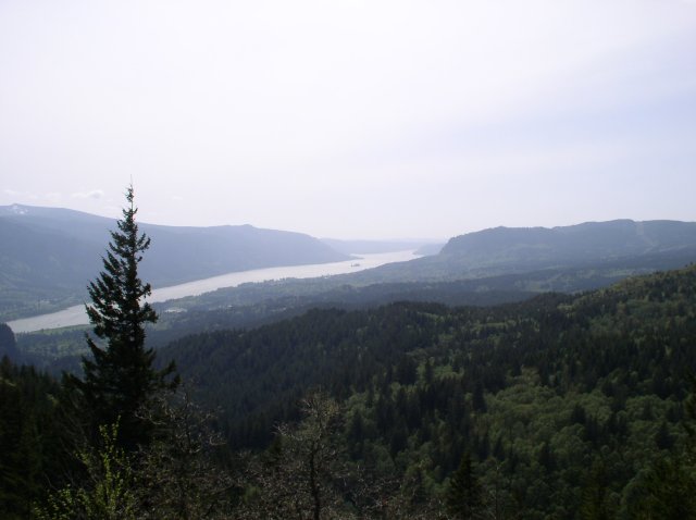 4.30.06 Hamilton Mountain 065 